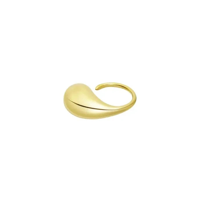 Ring Lien