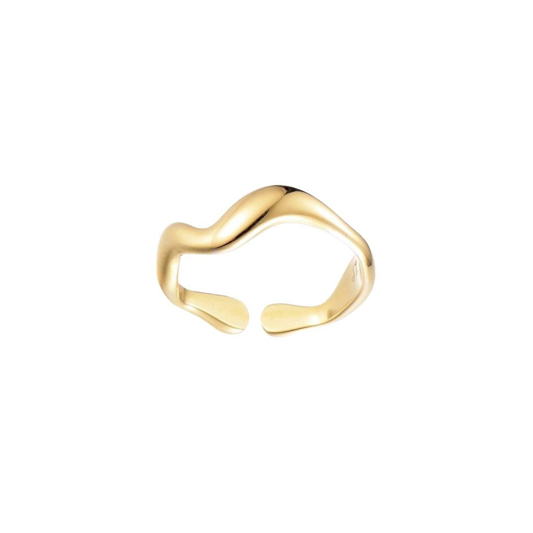 Ring Fien